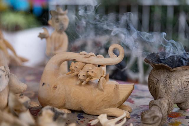(250918) -- OAXACA, Sept. 18, 2025 (Xinhua) -- Wood carvings are seen at a workshop in San Antonio Arrazola, Oaxaca State, Mexico, on Sept. 16, 2025. The village of San Antonio Arrazola on the outskirts of Oaxaca City is renowned for its colorful wood carvings. The process of making a wood carving includes chopping out shapes from the wood, carving, polishing, and applying hand-painted designs. These wood carvings often draw inspirations from animals, infused with fantasy and mythological elements. The craft is not only a signature local folk art but also a vital source of income for many local families. (Xinhua/Li Mengxin)