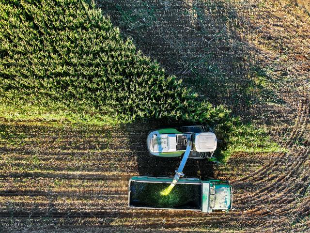 (250918) -- TONGLIAO, Sept. 18, 2025 (Xinhua) -- An aerial drone photo taken on Sept. 18, 2025 shows a harvester working at a corn field in Jurihe Town, Jarud Banner, Tongliao City, north China's Inner Mongolia Autonomous Region. (Xinhua/Lian Zhen)