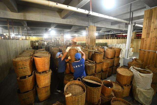 (250919) -- NANNING, Sept. 19, 2025 (Xinhua) -- Workers transfer baskets containing Liubao tea products for maturing process at a factory in Wuzhou City, south China's Guangxi Zhuang Autonomous Region, Oct. 25, 2024. Liubao tea, a Chinese dark tea known for its strong, lingering fragrance and medicinal properties, boasts a history spanning over 1,500 years. It has attracted thousands of eyes with its presence at the ongoing 22nd China-ASEAN Expo.
   The traditional Liubao tea-making technique is also recognized as a UNESCO Intangible Cultural Heritage subproject. Named after Liubao Town in Wuzhou City, Guangxi, the tea thrives in this region, where mist-covered mountains and a favorable climate have long made it an ideal area for tea cultivation. (Xinhua/Huang Xiaobang)