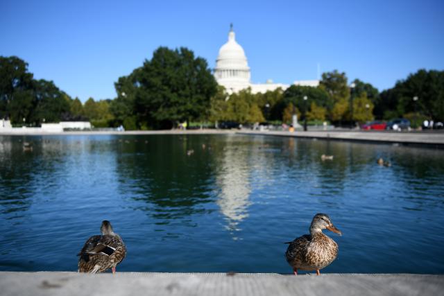 (251006) -- WASHINGTON, Oct. 6, 2025 (Xinhua) -- Ducks bask in the sun with the U.S. Capitol building in the background in Washington, D.C., the United States, Oct. 5, 2025. As the U.S. federal government entered a shutdown -- the first time in nearly seven years -- the confrontation between President Donald Trump's administration and the Democratic Party has further escalated.
   The Trump administration has cut funding and programs in Democratic-led states and sought to dismantle federal agencies led by Democrats. Meanwhile, Democrats have shown a rare sense of unity, hoping to reverse declining approval ratings through the fight.
   This new round of partisan conflict over the government shutdown is markedly different from previous ones, characterized by greater hostility and malice that has pushed partisan strife to new heights. It highlights the deepening political polarization in the United States while inflicting greater harm on the American people. (Xinhua/Li Rui)
