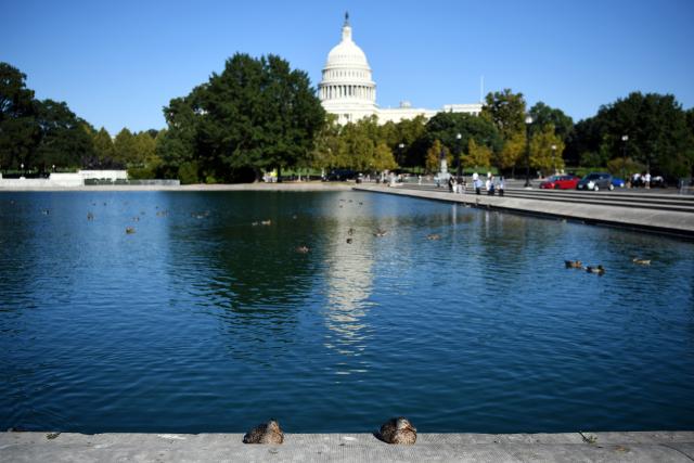 (251006) -- WASHINGTON, Oct. 6, 2025 (Xinhua) -- Ducks bask in the sun with the U.S. Capitol building in the background in Washington, D.C., the United States, Oct. 5, 2025. As the U.S. federal government entered a shutdown -- the first time in nearly seven years -- the confrontation between President Donald Trump's administration and the Democratic Party has further escalated.
   The Trump administration has cut funding and programs in Democratic-led states and sought to dismantle federal agencies led by Democrats. Meanwhile, Democrats have shown a rare sense of unity, hoping to reverse declining approval ratings through the fight.
   This new round of partisan conflict over the government shutdown is markedly different from previous ones, characterized by greater hostility and malice that has pushed partisan strife to new heights. It highlights the deepening political polarization in the United States while inflicting greater harm on the American people. (Xinhua/Li Rui)