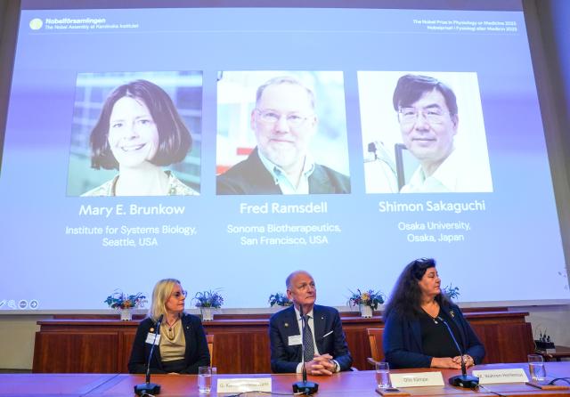(251006) -- STOCKHOLM, Oct. 6, 2025 (Xinhua) -- Portraits of the 2025 Nobel Prize in Physiology or Medicine laureates Mary E. Brunkow (L), Fred Ramsdell (C) and Shimon Sakaguchi are shown on a screen during the announcement of the prize at the Karolinska Institute in Stockholm, Sweden, on Oct. 6, 2025. Mary E. Brunkow, Fred Ramsdell, and Shimon Sakaguchi were awarded the 2025 Nobel Prize in Physiology or Medicine on Monday for their discoveries concerning peripheral immune tolerance, the Nobel Assembly at Sweden's Karolinska Institute announced. (Xinhua/Peng Ziyang)