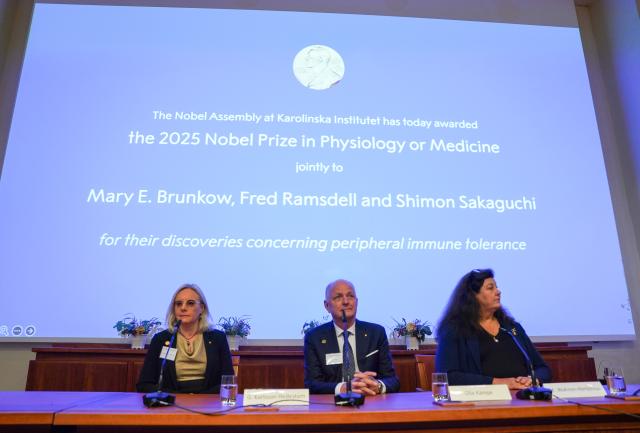 (251006) -- STOCKHOLM, Oct. 6, 2025 (Xinhua) -- Names of the 2025 Nobel Prize in Physiology or Medicine laureates Mary E. Brunkow, Fred Ramsdell and Shimon Sakaguchi are shown on a screen during the announcement of the prize at the Karolinska Institute in Stockholm, Sweden, on Oct. 6, 2025. Mary E. Brunkow, Fred Ramsdell, and Shimon Sakaguchi were awarded the 2025 Nobel Prize in Physiology or Medicine on Monday for their discoveries concerning peripheral immune tolerance, the Nobel Assembly at Sweden's Karolinska Institute announced. (Xinhua/Peng Ziyang)