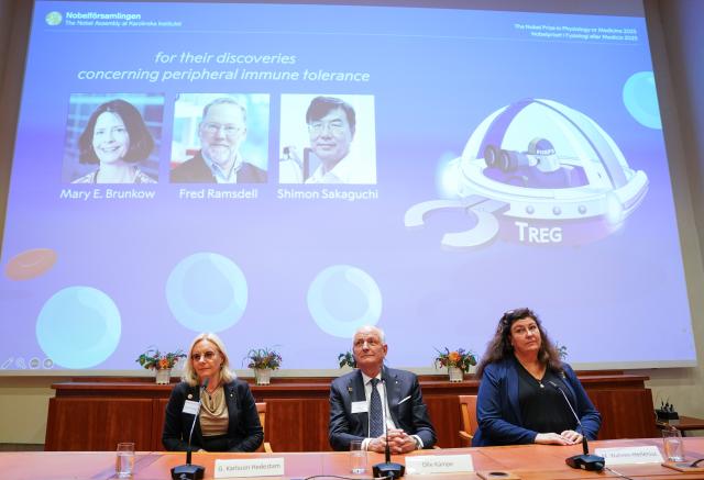 (251006) -- STOCKHOLM, Oct. 6, 2025 (Xinhua) -- Portraits of the 2025 Nobel Prize in Physiology or Medicine laureates Mary E. Brunkow (L), Fred Ramsdell (C) and Shimon Sakaguchi are shown on a screen during the announcement of the prize at the Karolinska Institute in Stockholm, Sweden, on Oct. 6, 2025. Mary E. Brunkow, Fred Ramsdell, and Shimon Sakaguchi were awarded the 2025 Nobel Prize in Physiology or Medicine on Monday for their discoveries concerning peripheral immune tolerance, the Nobel Assembly at Sweden's Karolinska Institute announced. (Xinhua/Peng Ziyang)