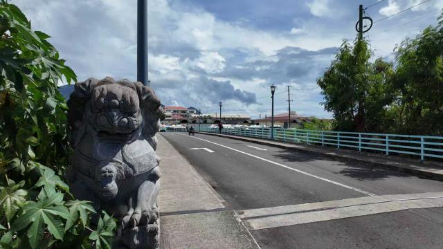 (251011) -- ROSEAU, Oct. 11, 2025 (Xinhua) -- This photo taken on Oct. 7, 2025 shows a view of the Dominica-China Friendship Bridge in Roseau, capital of Dominica. TO GO WITH "Interview: "I look forward to learning from China's experience at Global Leaders' Meeting on Women," says Dominican president" (Photo by Douglas Martinez/Xinhua)