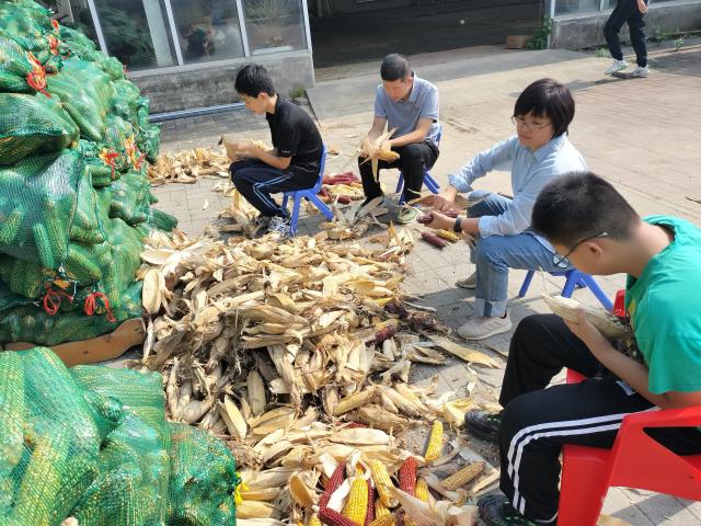 (251012) -- TIANJIN, Oct. 12, 2025 (Xinhua) -- Autistic teenagers and a teacher (2nd R) peel corn at Hui'ai Farm in Xiqing District, north China's Tianjin, Sept. 30, 2025. TO GO WITH "Across China: Youths with autism harvest corn, hope on north China farm" (Xinhua)