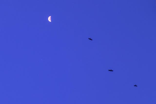 (251014) -- HARBIN, Oct. 14, 2025 (Xinhua) -- This photo taken on Oct. 14, 2025 shows the planet of Jupiter next to the moon in the sky over Qiqihar City, northeast China's Heilongjiang Province. (Photo by Wang Yonggang/Xinhua)