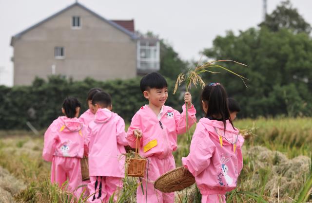 (251014) -- BEIJING, Oct. 14, 2025 (Xinhua) -- Children from a kindergarten pick up rice ears in a field in Deqing County of Huzhou City, east China's Zhejiang Province, Oct. 14, 2025. Theme events have been carried out across China to mark World Food Day that falls on Oct. 16 annually. (Photo by Ni Lifang/Xinhua)