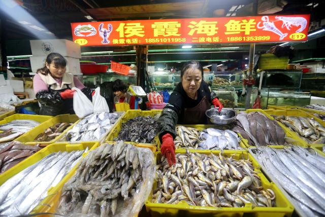 (251015) -- BEIJING, Oct. 15, 2025 (Xinhua) -- A vendor arranges seafood at a market in Lianyungang City, east China's Jiangsu Province, Oct. 15, 2025.
  China's consumer prices showed further signs of stabilization in September, as core inflation reached its highest level in 19 months, underscoring a gradual strengthening in domestic demand.
  The headline CPI also showed a positive trend -- logging a 0.1 percent month-on-month increase from a flat August and narrowing its year-on-year decline to 0.3 percent, compared with a 0.4 percent drop in August. (Photo by Wang Chun/Xinhua)