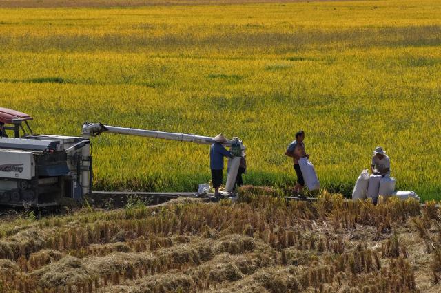 (251015) -- BEIJING, Oct. 15, 2025 (Xinhua) -- An aerial drone photo taken on Oct. 15, 2025 shows villagers harvesting rice in a field in Heshun Town of Tengchong City, southwest China's Yunnan Province. (Photo by Gong Zujin/Xinhua)