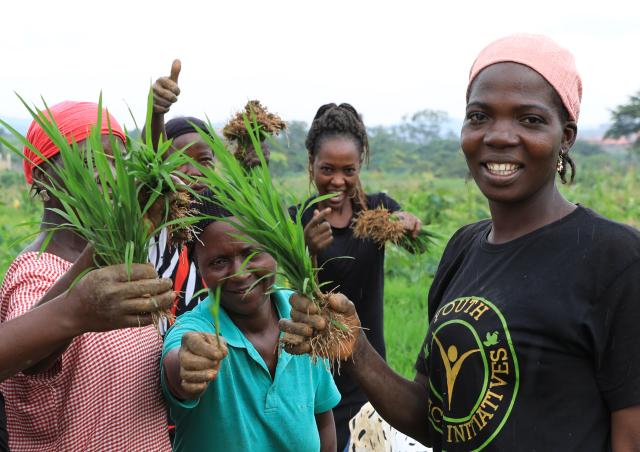 (251016) -- HARBIN, Oct. 16, 2025 (Xinhua) -- Local employees display rice seedlings at the Nigerian Agricultural Technology Demonstration Center in Abuja, Nigeria, Sept. 19, 2023. (Xinhua/Dong Jianghui)