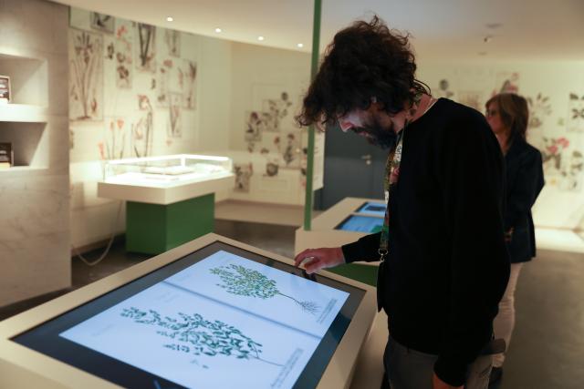 (251016) -- ROME, Oct. 16, 2025 (Xinhua) -- A guest takes a look at digital display of plants at the Food and Agriculture Museum in FAO headquarters, in Rome, Italy, Oct. 16, 2025. The Food and Agriculture Museum and Network (FAO MuNe) opened at FAO headquarters in Rome on Thursday, one of the legacy of the 80th anniversary of the Food and Agriculture Organization of the United Nations (FAO). (Xinhua/Li Jing)