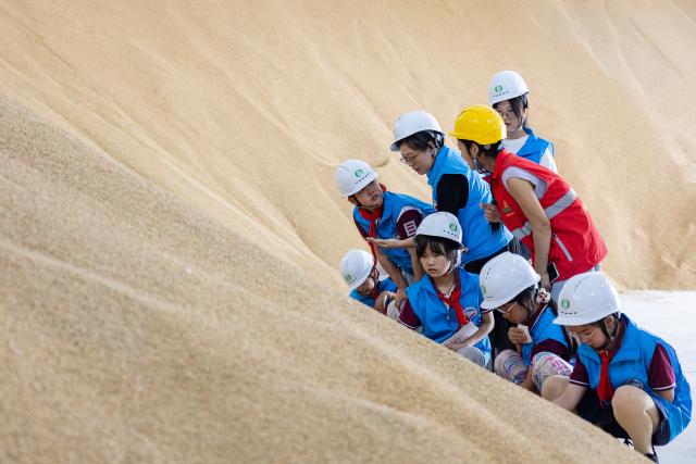 (251017) -- BEIJING, Oct. 17, 2025 (Xinhua) -- Students visit a grain depot on World Food Day in Huzhou City, east China's Zhejiang Province, Oct. 16, 2025. (Photo by Yi Fan/Xinhua)