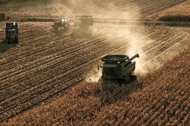 (251017) -- BEIJING, Oct. 17, 2025 (Xinhua) -- A drone photo taken on Oct. 16, 2025 shows agricultural machines harvesting corns in Jixi City, northeast China's Heilongjiang Province. (Photo by Huang Yongxing/Xinhua)