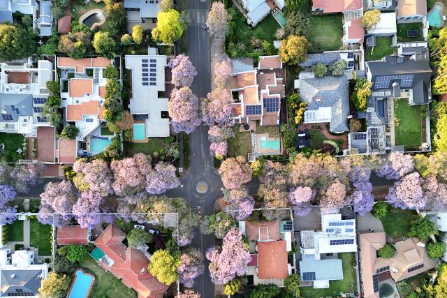 (251017) -- JOHANNESBURG, Oct. 17, 2025 (Xinhua) -- An aerial drone photo taken on Oct. 16, 2025 shows blooming jacaranda trees in Johannesburg, South Africa. The jacaranda trees here bloom from mid-October to early November each year. (Photo by Shiraaz Mohamed/Xinhua)