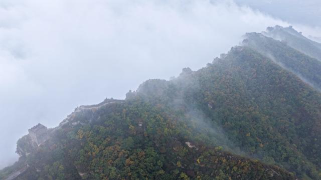 (251017) -- BEIJING, Oct. 17, 2025 (Xinhua) -- An aerial drone photo taken on Oct. 17, 2025 shows a view of the Simatai section of the Great Wall in Beijing, capital of China. (Photo by Zhou Wanping/Xinhua)