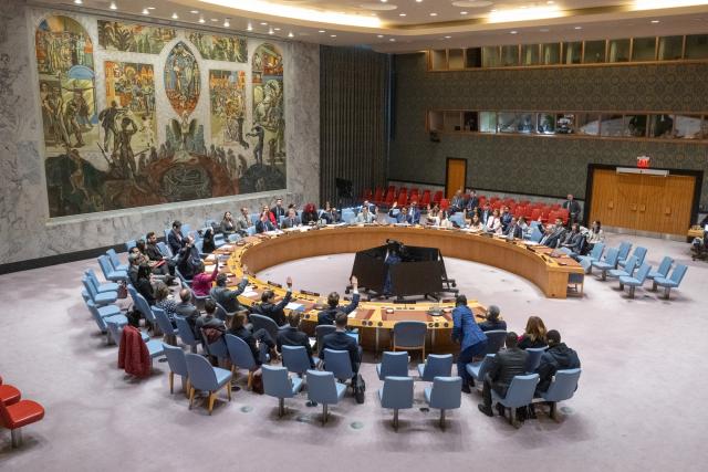 (251017) -- UNITED NATIONS, Oct. 17, 2025 (Xinhua)  -- Representatives vote on a draft resolution during a Security Council meeting at the UN headquarters in New York, Oct. 17, 2025. The Security Council on Friday adopted a resolution to renew the sanctions regime on Haiti for another year. (Eskinder Debebe/UN Photo/Handout via Xinhua)