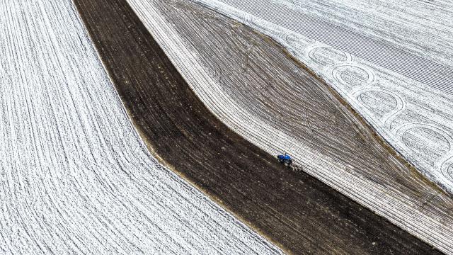 (251018) -- HARBIN, Oct. 18, 2025 (Xinhua) -- An aerial drone photo taken on Oct. 18, 2025 shows an agricultural machinery working in a snow-covered field of a farming company under Beidahuang Group in northeast China's Heilongjiang Province. As many areas in Heilongjiang Province have experienced snowfall, some agricultural production units of the Beidahuang Group have prepared the soil for winter before the ground freezes. (Photo by Huang Yongxing/Xinhua)