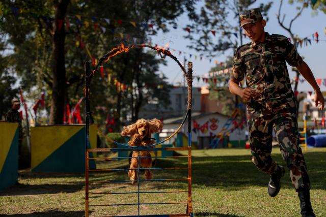 (251020) -- BHAKTAPUR, Oct. 20, 2025 (Xinhua) -- A dog jumps through a fire ring during the celebration of the Kukur Tihar festival at an army barracks in Bhaktapur, Nepal, Oct. 20, 2025. The festival is celebrated to honor the loyalty and services of dogs. (Photo by Sulav Shrestha/Xinhua)