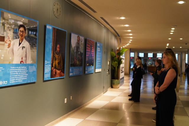 (251021) -- UNITED NATIONS, Oct. 21, 2025 (Xinhua) -- People visit a global exhibition titled "Shared Lives, Shared Future" at the United Nations (UN) headquarters in New York, Oct. 20, 2025. A global exhibition titled "Shared Lives, Shared Future" was launched Monday at the United Nations (UN) headquarters in New York to mark the United Nations' 80th anniversary.
  The exhibition features more than 200 stories from 193 countries, highlighting how the world's most crucial international organization impacts people's lives often in "invisible" ways. (Xinhua/Zhang Fengguo)
