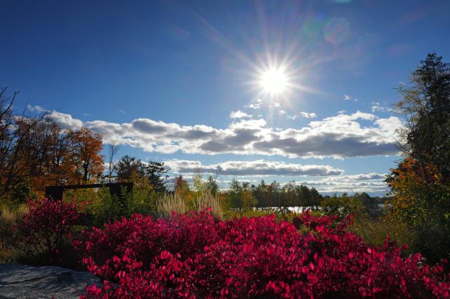 (251021) -- TORONTO, Oct. 21, 2025 (Xinhua) -- This photo taken on Oct. 20, 2025 shows the scenery of Lake Wilcox in Richmond Hill, Ontario, Canada.
  Autumn is in full swing in the Greater Toronto Area of Ontario, Canada. (Photo by Yang Shu/Xinhua)