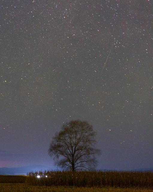 (251022) -- HARBIN, Oct. 22, 2025 (Xinhua) -- This photo taken on Oct. 21, 2025 shows the Orionid meteor shower in the sky over Tangyuan County, northeast China's Heilongjiang Province. (Photo by Zhu Zongqiang/Xinhua)