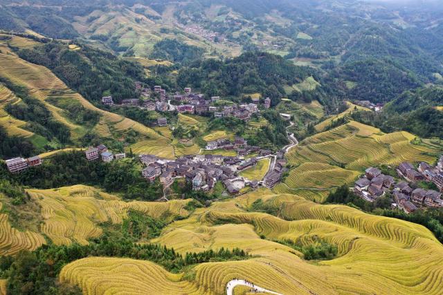 (251022) -- LONGSHENG, Oct. 22, 2025 (Xinhua) -- An aerial drone photo taken on Oct. 22, 2025 shows the Longji Rice Terraces and a village among the terraces in Longsheng County, south China's Guangxi Zhuang Autonomous Region. (Xinhua/Lu Boan)