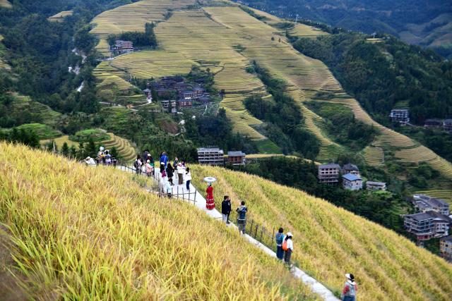(251022) -- LONGSHENG, Oct. 22, 2025 (Xinhua) -- Tourists enjoy the scenery of the Longji Rice Terraces in Longsheng County, south China's Guangxi Zhuang Autonomous Region on Oct. 22, 2025. (Photo by Pan Zhixiang/Xinhua)