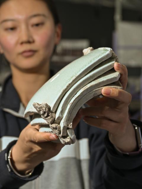 (251022) -- YINCHUAN, Oct. 22, 2025 (Xinhua) -- A staff member displays excavated white porcelain tiles inside the cultural relics storage room of the archaeologist team working on the remnants of the Suyukou kiln, in Yinchuan, capital of northwest China's Ningxia Hui Autonomous Region, Oct. 13, 2025. Remnants of the Suyukou kiln were discovered in 2017 in Yinchuan, capital of Ningxia, and cover an area of roughly 40,000 square meters.
   From 2021 to 2025, archaeologists from the Ningxia Institute of Cultural Relics and Archaeology and Fudan University found remnants of workshops featuring eight furnaces, as well as pits where workers used to mine porcelain clay, coal, quartz, lime and other raw materials and fuels, which were needed to make porcelain. 
   The Suyukou site is believed to be the earliest Western Xia Dynasty kiln site found to date in China. Judging from its production scale and saggars marked with the character guan, which literally means official, archaeologists believe that the Suyukou kiln was an official kiln producing bowls, cups, plates and other daily utensils -- mainly for the royal family during the Western Xia Dynasty (1038-1227). (Xinhua/Li He)