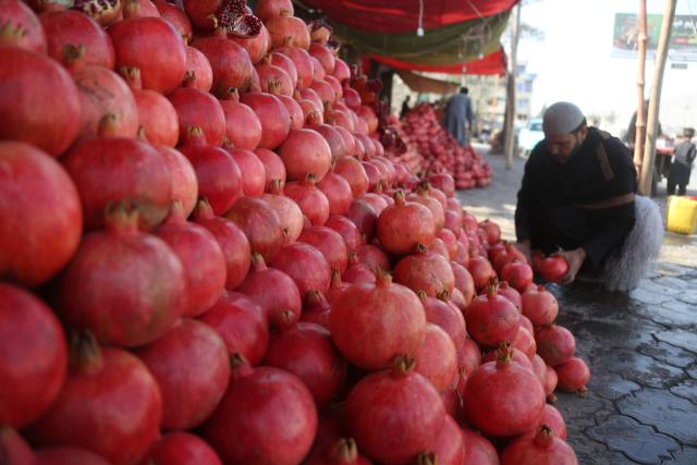 (251022) -- KABUL, Oct. 22, 2025 (Xinhua) -- A pomegranate vendor waits for customers in Kabul, capital of Afghanistan, Oct. 22, 2025. (Photo by Saifurahman Safi/Xinhua)