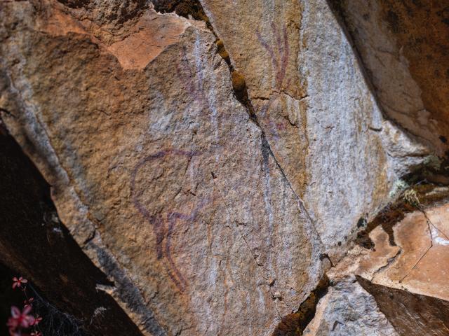(251022) -- CHENGDU, Oct. 22, 2025 (Xinhua) -- This photo taken on Oct. 21, 2025 shows a rock painting that features a deer-shaped image in Garze Tibetan Autonomous Prefecture, southwest China's Sichuan Province. This group of rock paintings in the prefecture dates back about 8,000 years. (Xinhua/Xue Chen)