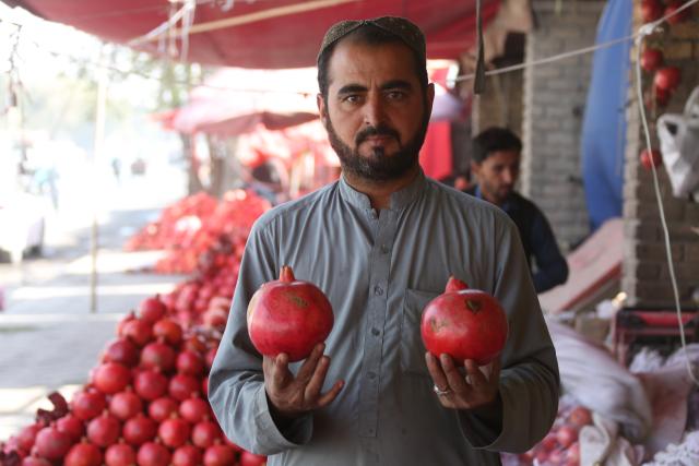 (251022) -- KABUL, Oct. 22, 2025 (Xinhua) -- A vendor displays pomegranates in Kabul, capital of Afghanistan, Oct. 22, 2025. (Photo by Saifurahman Safi/Xinhua)