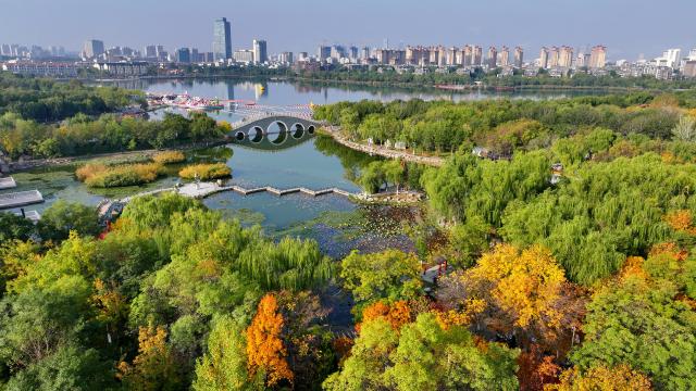 (251023) -- YINCHUAN, Oct. 23, 2025 (Xinhua) -- An aerial drone photo taken on Oct. 15, 2025 shows the autumn scenery of Haibao Park in Yinchuan, northwest China's Ningxia Hui Autonomous Region. (Photo by Li Jing/Xinhua)