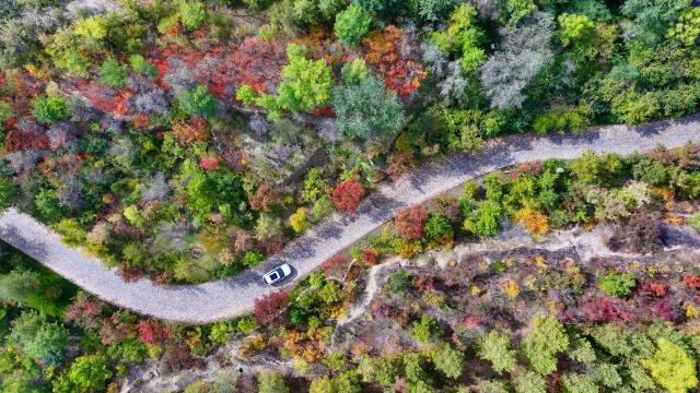 (251023) -- YINCHUAN, Oct. 23, 2025 (Xinhua) -- An aerial drone photo taken on Oct. 14, 2025 shows the autumn scenery of Xixia District of Yinchuan, northwest China's Ningxia Hui Autonomous Region. (Photo by Li Jing/Xinhua)