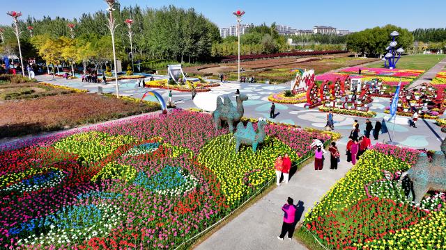 (251023) -- YINCHUAN, Oct. 23, 2025 (Xinhua) -- An aerial drone photo taken on Oct. 17, 2025 shows the autumn scenery of a flower expo park in Yinchuan, northwest China's Ningxia Hui Autonomous Region. (Photo by Li Jing/Xinhua)