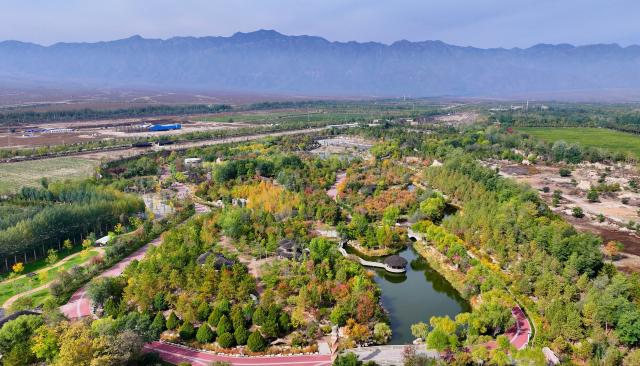 (251023) -- YINCHUAN, Oct. 23, 2025 (Xinhua) -- An aerial drone photo taken on Oct. 14, 2025 shows the autumn scenery of Xixia District of Yinchuan, northwest China's Ningxia Hui Autonomous Region. (Photo by Li Jing/Xinhua)