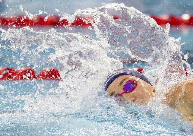 (251024) -- TORONTO, Oct. 24, 2025 (Xinhua) -- Lani Pallister of Australia competes during the women's 400m freestyle final at the World Aquatics Swimming World Cup 2025 in Toronto, Canada, on Oct. 23, 2025. (Photo by Zou Zheng/Xinhua)