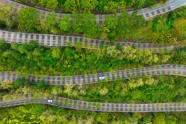 (251025) -- BEIJING, Oct. 25, 2025 (Xinhua) -- An aerial drone photo taken on Oct. 24, 2025 shows vehicles running on a road shaded by trees at Guankou Village of Qianjiang District in Chongqing, southwest China. (Photo by Yang Min/Xinhua)