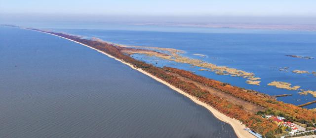 (251025) -- BEIJING, Oct. 25, 2025 (Xinhua) -- An aerial drone photo taken on Oct. 24, 2025 shows the autumn scenery of the Xingkai Lake in Mishan City, northeast China's Heilongjiang Province. (Photo by Huang Yongxing/Xinhua)