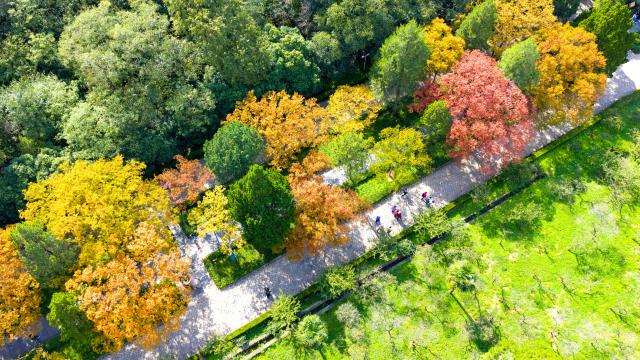 (251025) -- BEIJING, Oct. 25, 2025 (Xinhua) -- An aerial drone photo taken on Oct. 24, 2025 shows tourists visiting the imperial Xiaoling Mausoleum, the burial site of the Ming Dynasty's (1368-1644) founding emperor Zhu Yuanzhang, in Nanjing, east China's Jiangsu Province. (Photo by Yang Suping/Xinhua)