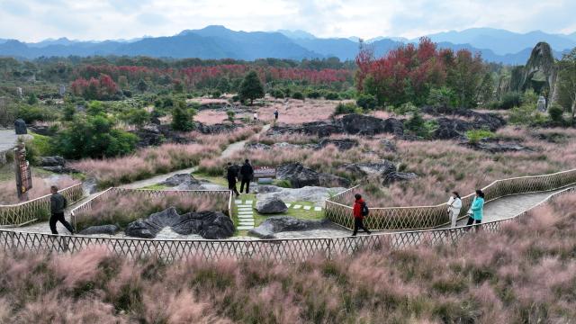 (251025) -- BEIJING, Oct. 25, 2025 (Xinhua) -- An aerial drone photo taken on Oct. 24, 2025 shows tourists visiting a scenic area in Banxi Town of Youyang Tujia and Miao Autonomous County, southwest China's Chongqing Municipality. (Photo by Qiu Hongbin/Xinhua)