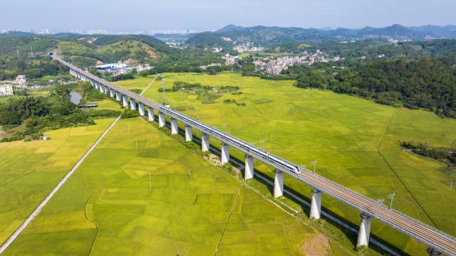 (251025) -- BEIJING, Oct. 25, 2025 (Xinhua) -- An aerial drone photo taken on Oct. 24, 2025 shows a high-speed train passing through rice fields in Longxu District of Wuzhou City, south China's Guangxi Zhuang Autonomous Region. (Photo by He Huawen/Xinhua)