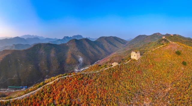 (251026) -- QINHUANGDAO, Oct. 26, 2025 (Xinhua) -- A panoramic aerial drone photo taken on Oct. 25, 2025 shows the autumn scenery of the Dongjiakou section of the Great Wall in Qinghuangdao, north China's Hebei Province. (Xinhua/Chen Yehua)