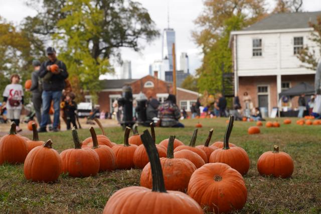 (251026) -- NEW YORK, Oct. 26, 2025 (Xinhua) -- Pumpkins are on display at the Governors Island in New York, the United States, on Oct. 25, 2025.
  A festival was held at the Governors Island in New York on Saturday, attracting locals and visitors to celebrate the fall harvest with various family-friendly activities. (Xinhua/Zhang Fengguo)