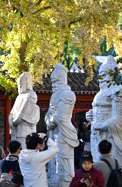 (251026) -- BEIJING, Oct. 26, 2025 (Xinhua) -- Tourists take photos at the Beijing Stone Carving Art Museum in Beijing, capital of China, Oct. 26, 2025. At this time when autumn enters into winter, the Beijing Stone Carving Art Museum is adorned with yellowing ginkgo leaves, attracting numerous visitors. (Xinhua/Chen Zhonghao)