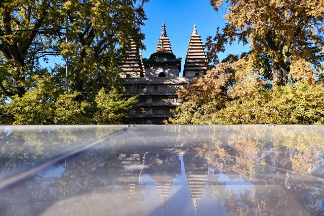 (251026) -- BEIJING, Oct. 26, 2025 (Xinhua) -- This photo taken on Oct. 26, 2025 shows pagodas and ginkgo trees at the Beijing Stone Carving Art Museum in Beijing, capital of China. At this time when autumn enters into winter, the Beijing Stone Carving Art Museum is adorned with yellowing ginkgo leaves, attracting numerous visitors. (Xinhua/Chen Zhonghao)
