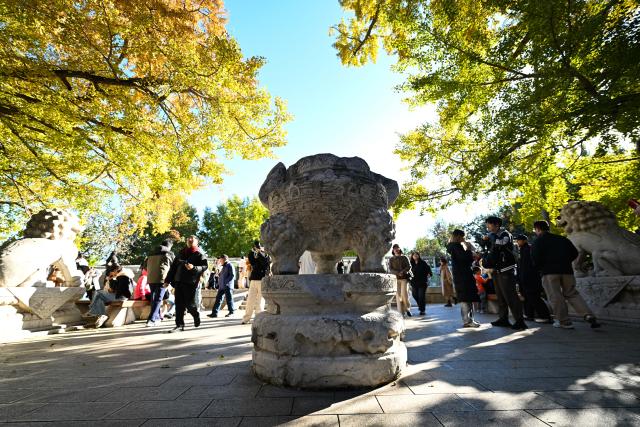 (251026) -- BEIJING, Oct. 26, 2025 (Xinhua) -- Tourists visit the Beijing Stone Carving Art Museum in Beijing, capital of China, Oct. 26, 2025. At this time when autumn enters into winter, the Beijing Stone Carving Art Museum is adorned with yellowing ginkgo leaves, attracting numerous visitors. (Xinhua/Chen Zhonghao)