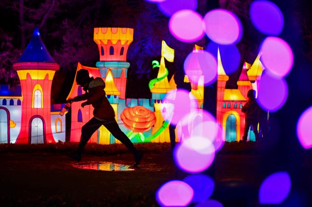 (251027) -- BEIJING, Oct. 27, 2025 (Xinhua) -- People visit the Garden of Lights show at the Botanical Garden of the Polish Academy of Sciences in suburban Warsaw, Poland, on Oct. 25, 2025. (Photo by Aleksy Witwicki/Xinhua)