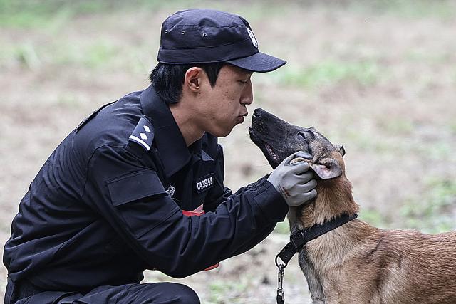(251027) -- BEIJING, Oct. 27, 2025 (Xinhua) -- A contestant interacts with a dog after a contest during a police dog skills competition in Beijing, capital of China, Oct. 24, 2025. The police dog skills competition of Beijing Municipal Public Security Bureau was held in Beijing from Oct. 24 to 27, with a total of 125 contestants and 108 police dogs from 19 teams attending the event. (Xinhua/Zhang Yuwei)