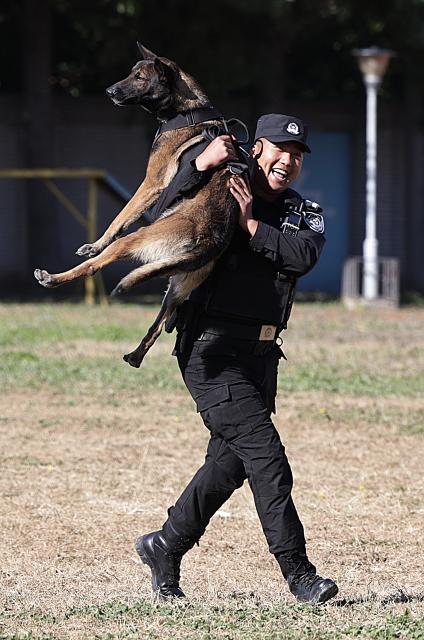 (251027) -- BEIJING, Oct. 27, 2025 (Xinhua) -- A contestant celebrates with a dog after a contest during a police dog skills competition in Beijing, capital of China, Oct. 26, 2025. The police dog skills competition of Beijing Municipal Public Security Bureau was held in Beijing from Oct. 24 to 27, with a total of 125 contestants and 108 police dogs from 19 teams attending the event. (Xinhua/Zhang Yuwei)